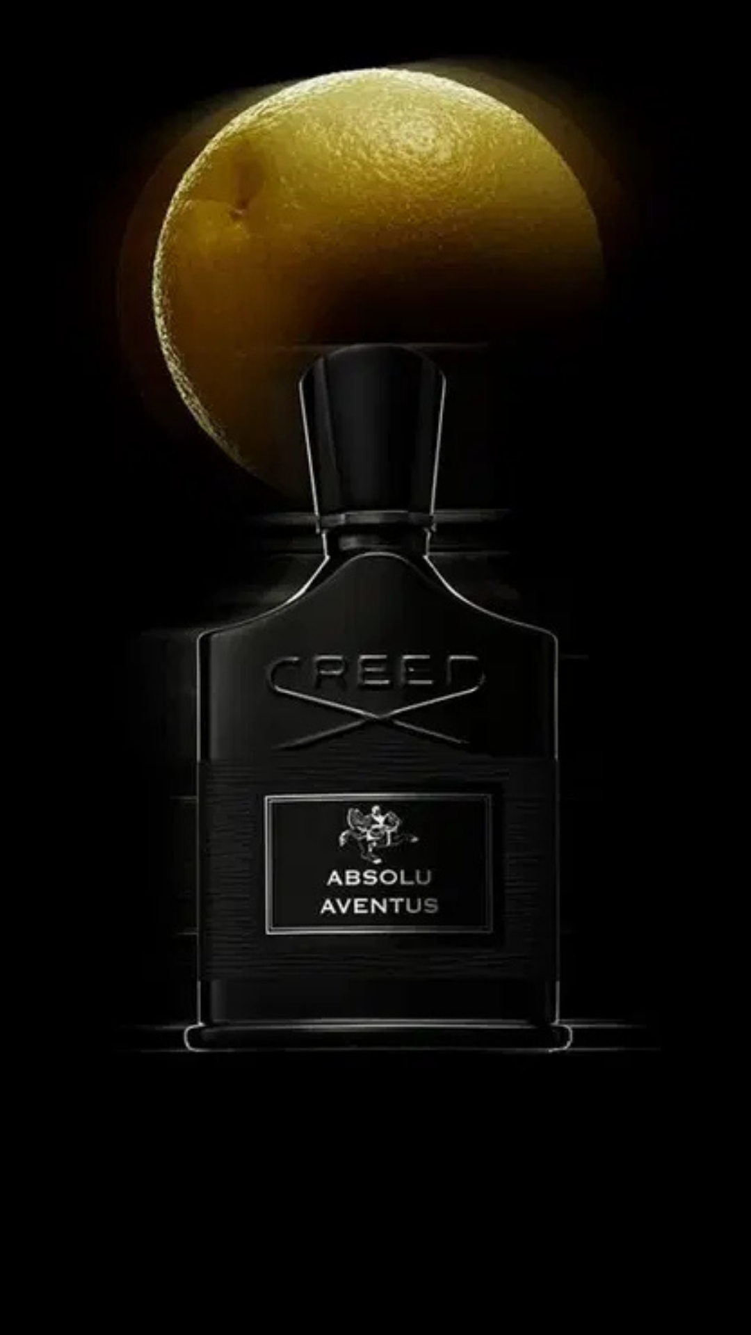 Aventus Absolu