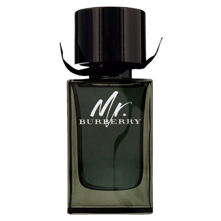 Mr Burberry Eau de Parfum 100 ml