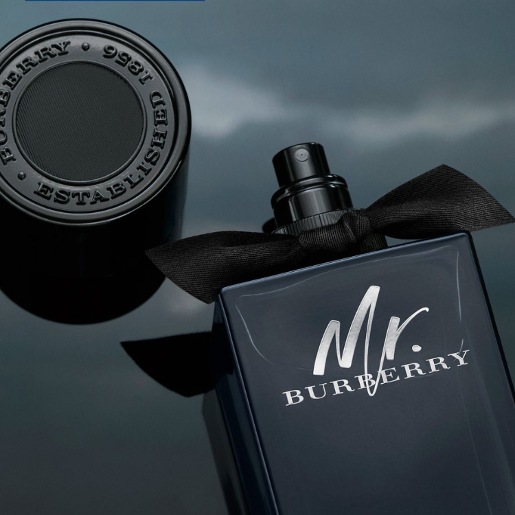 Mr Burberry Eau de Parfum 100 ml