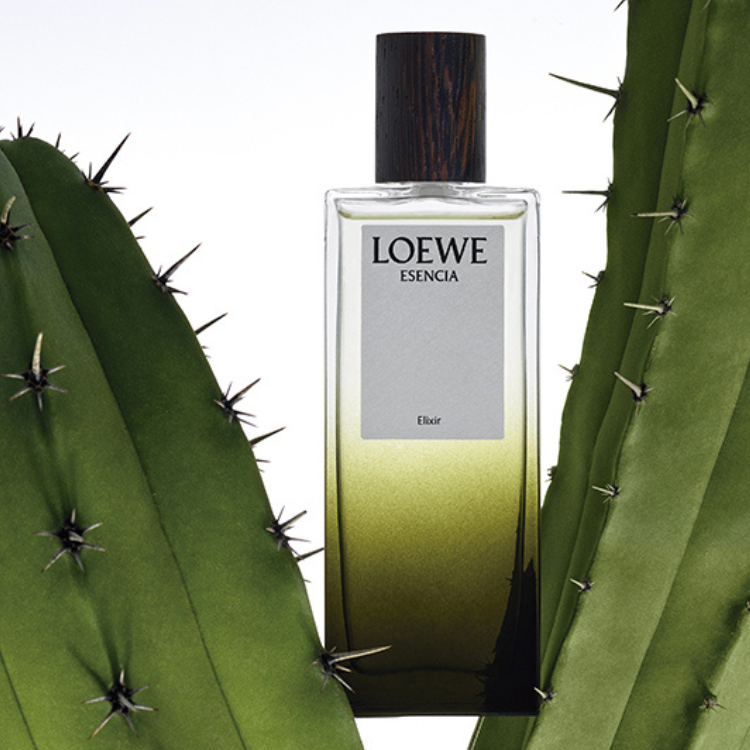Esencia Elixir Eau de Parfum 100 ml