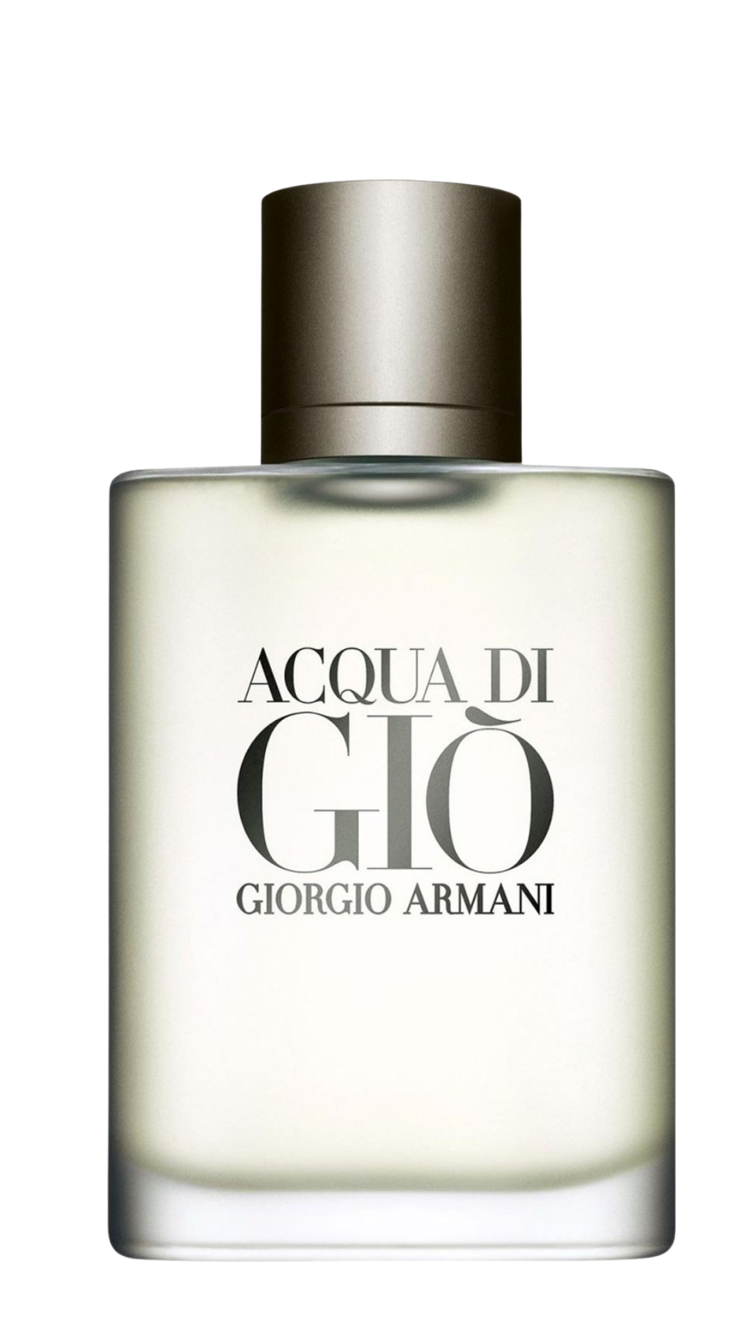 Acqua di Giò Eau de Toilette 100 ml