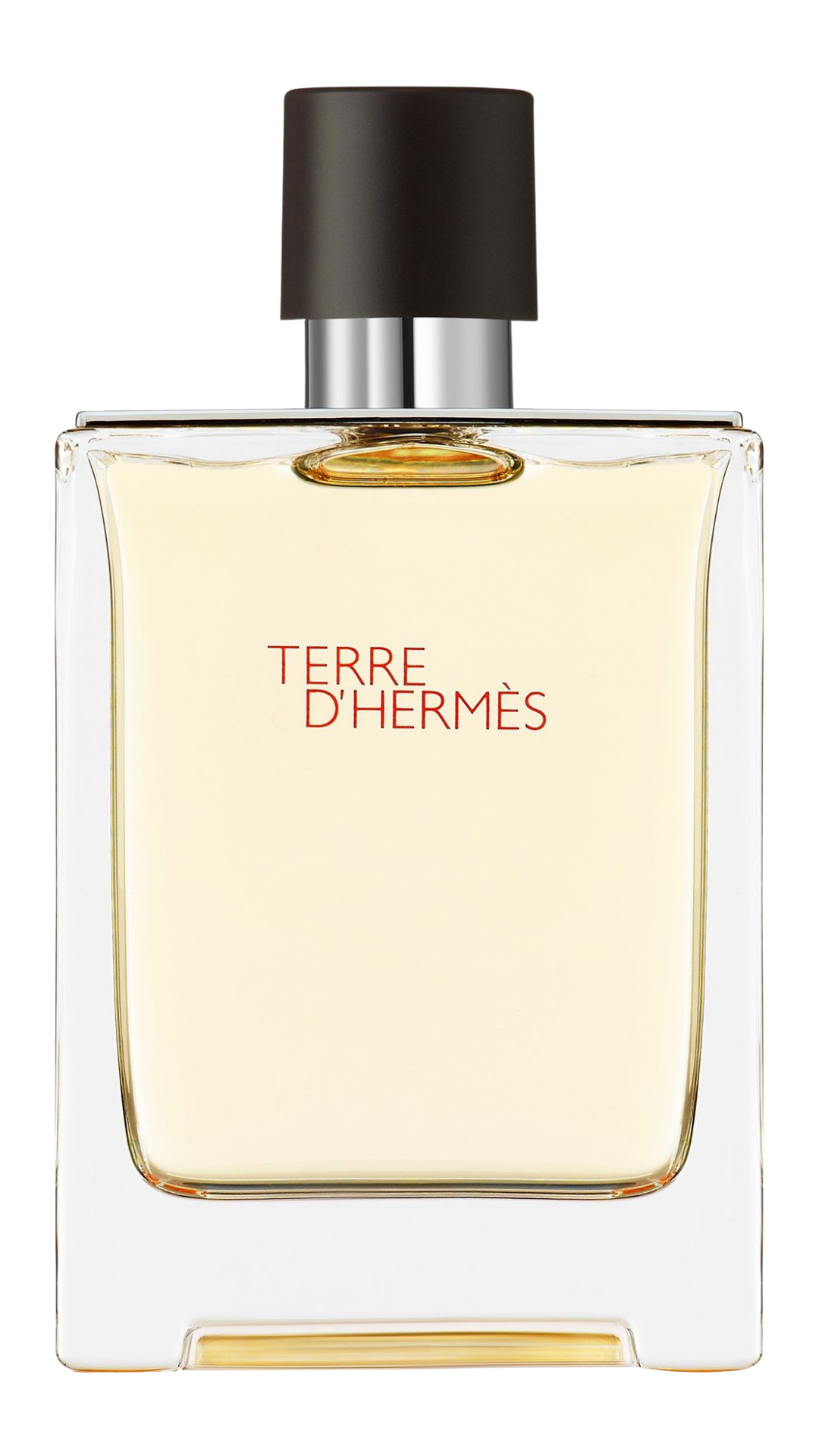 Terre d'Hermès Parfum 75 ml